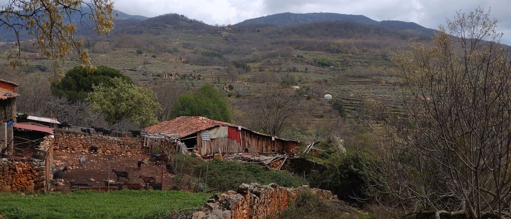 in Jarandilla de la Vera