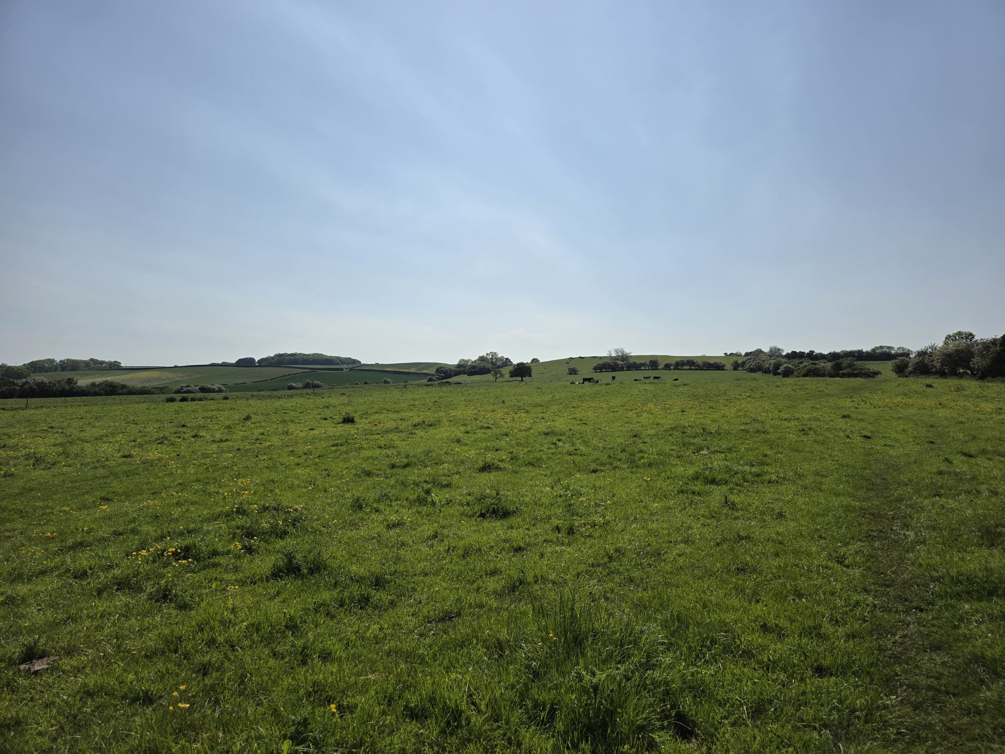 Heading up on to wolds