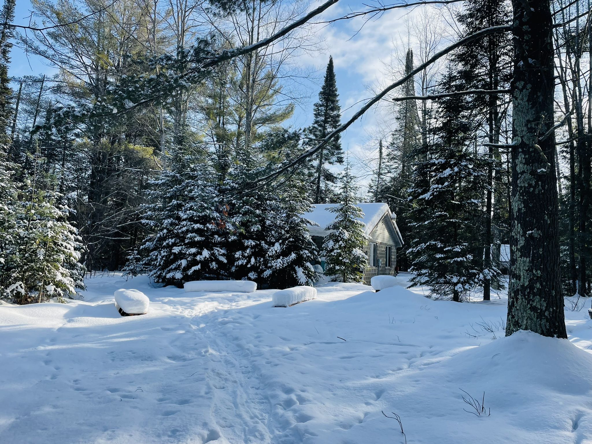 Small cabin nestled in a snowy evergreen forest on a bright day. - Grass River Natural Area Loop