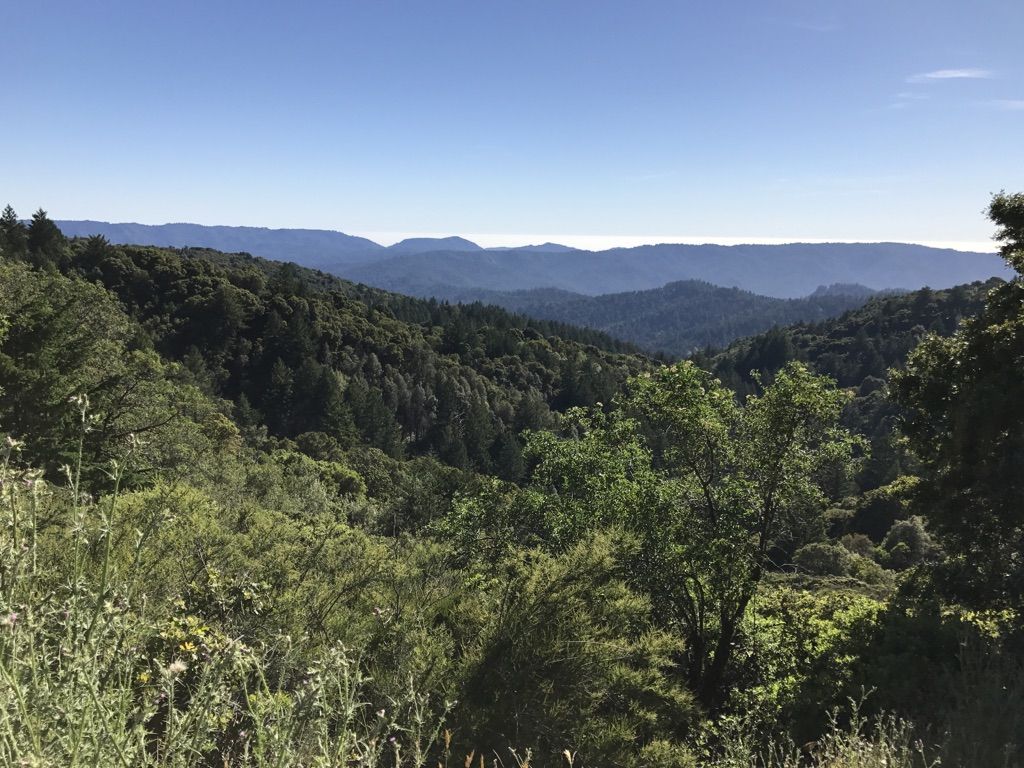 A vast landscape of forested rolling hills extending to a hazy horizon. - Saratoga Gap Trailhead – Saratoga Gap loop from Saratoga Gap Open Space Preserve