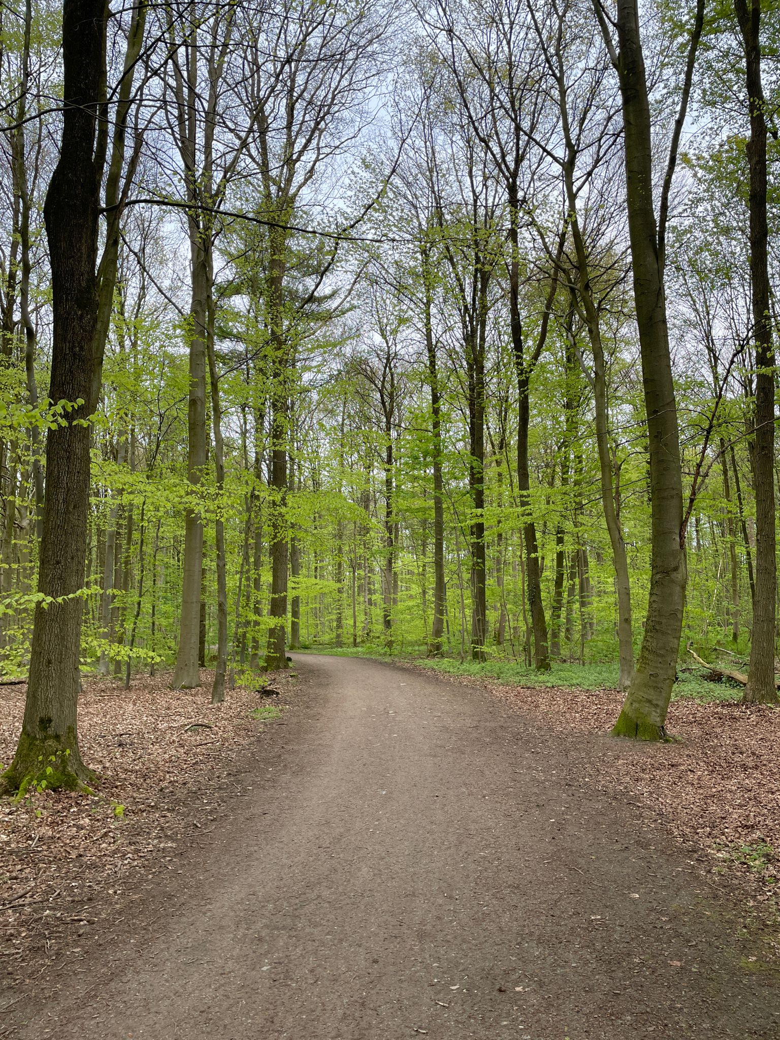 Volksdorfer Feldmark