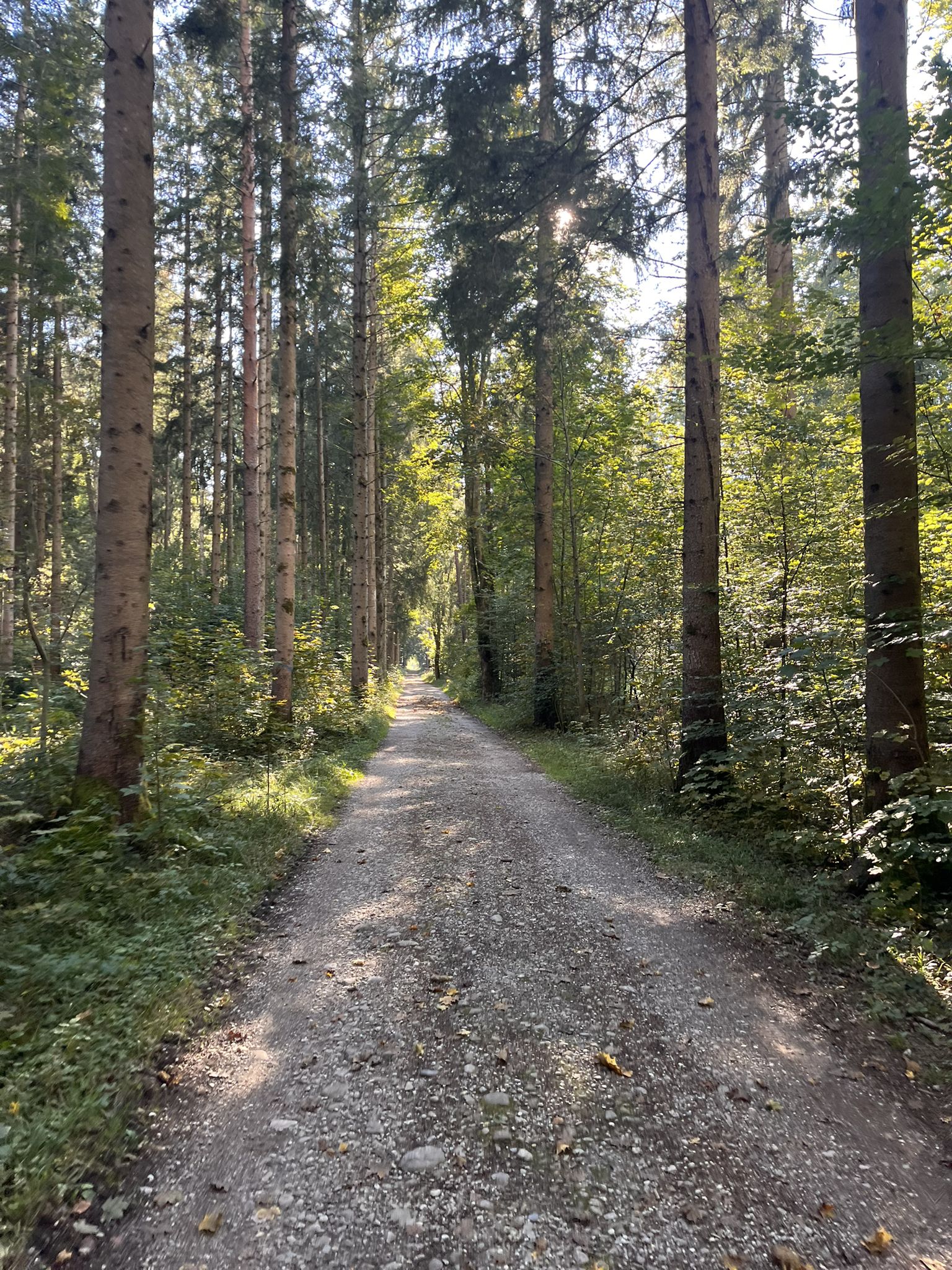 ab durch die Mitte