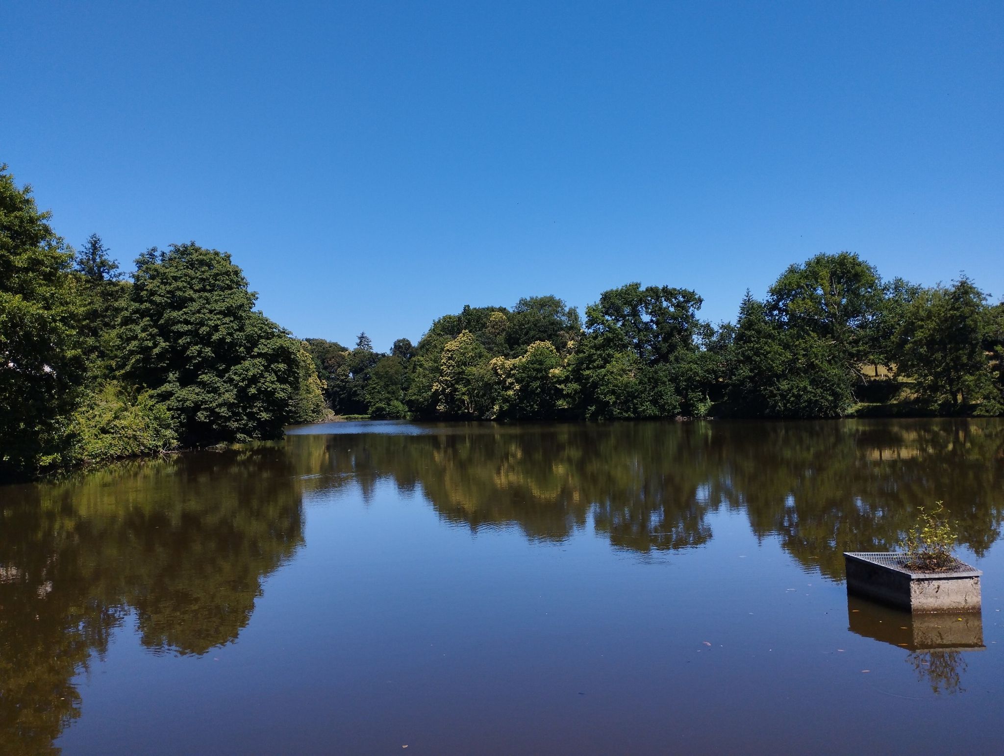 Etang de Sains