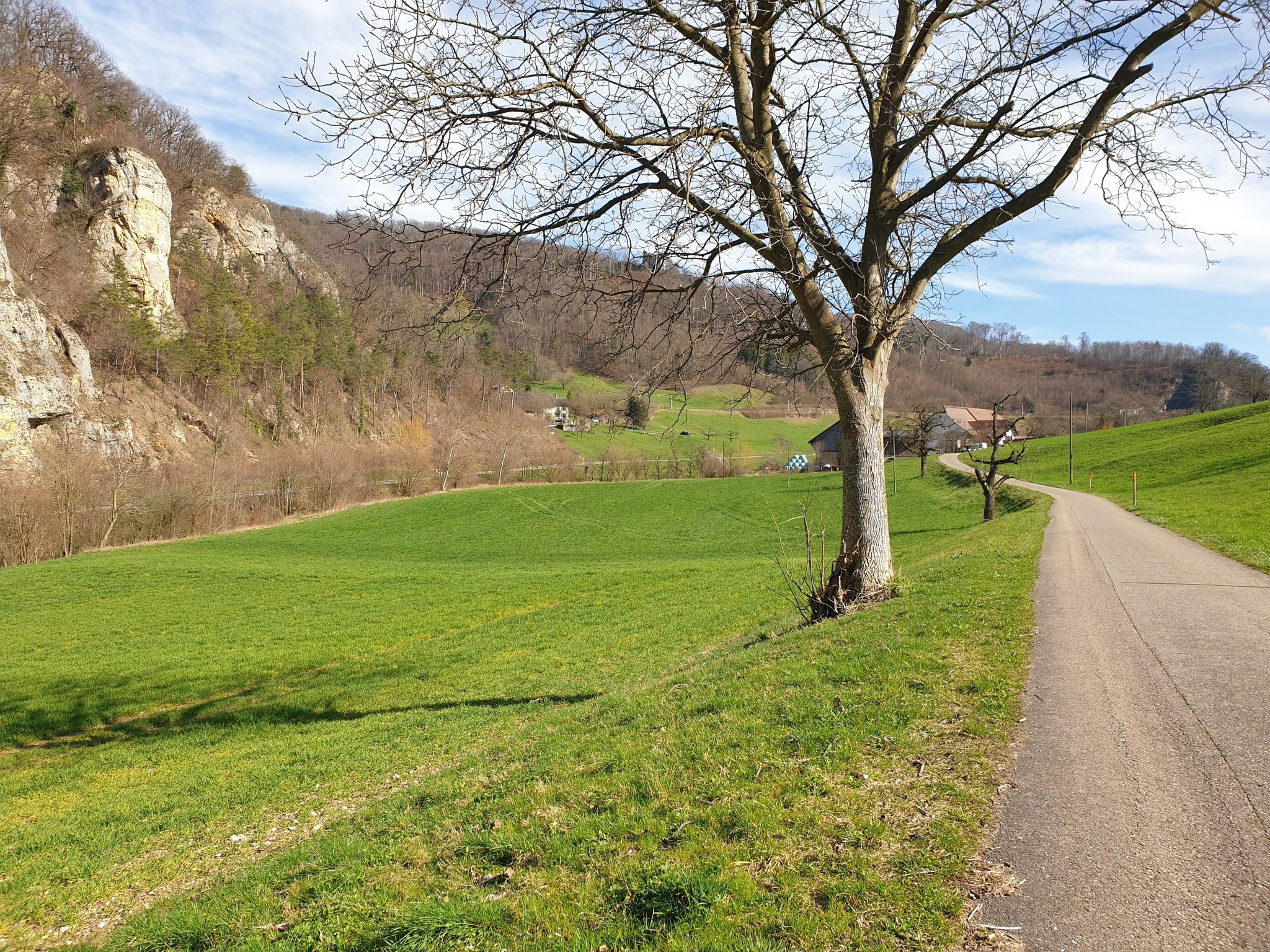 Alte Hauensteinstrasse