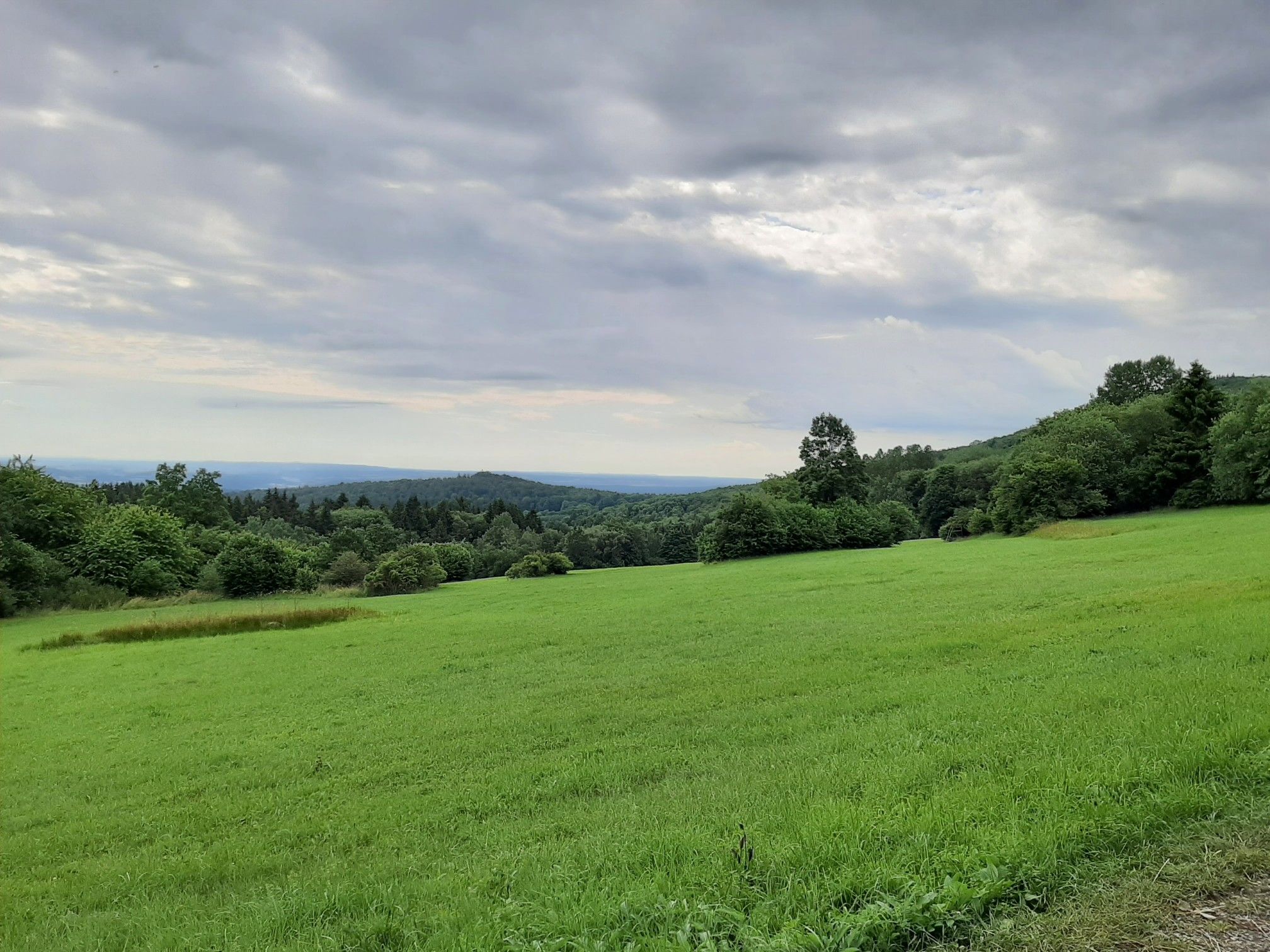 Ausblick