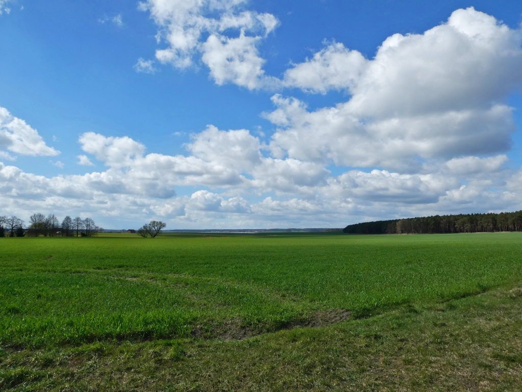 Planetal und Baruther Urstromtal
