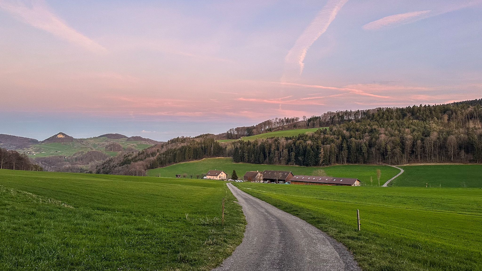 ...Obere Laufmatt voraus. Jetzt sausen lassen, die Läufelfingerstrasse überqueren und auf der andern Seite wieder bergauf...