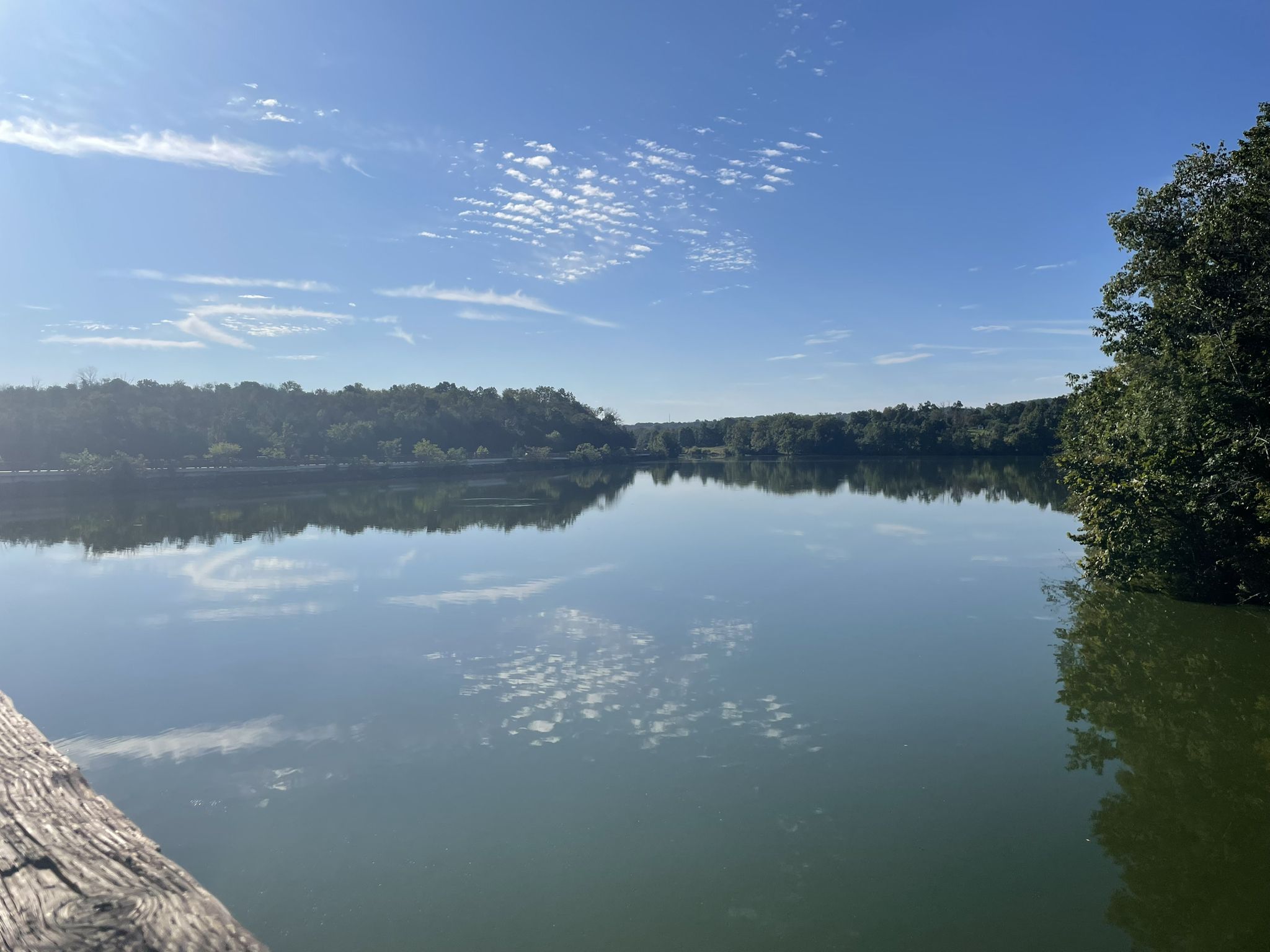 Calm lake reflecting a blue sky with wispy clouds and green trees. - Snowflake Cove loop from Green Lane Reservoir