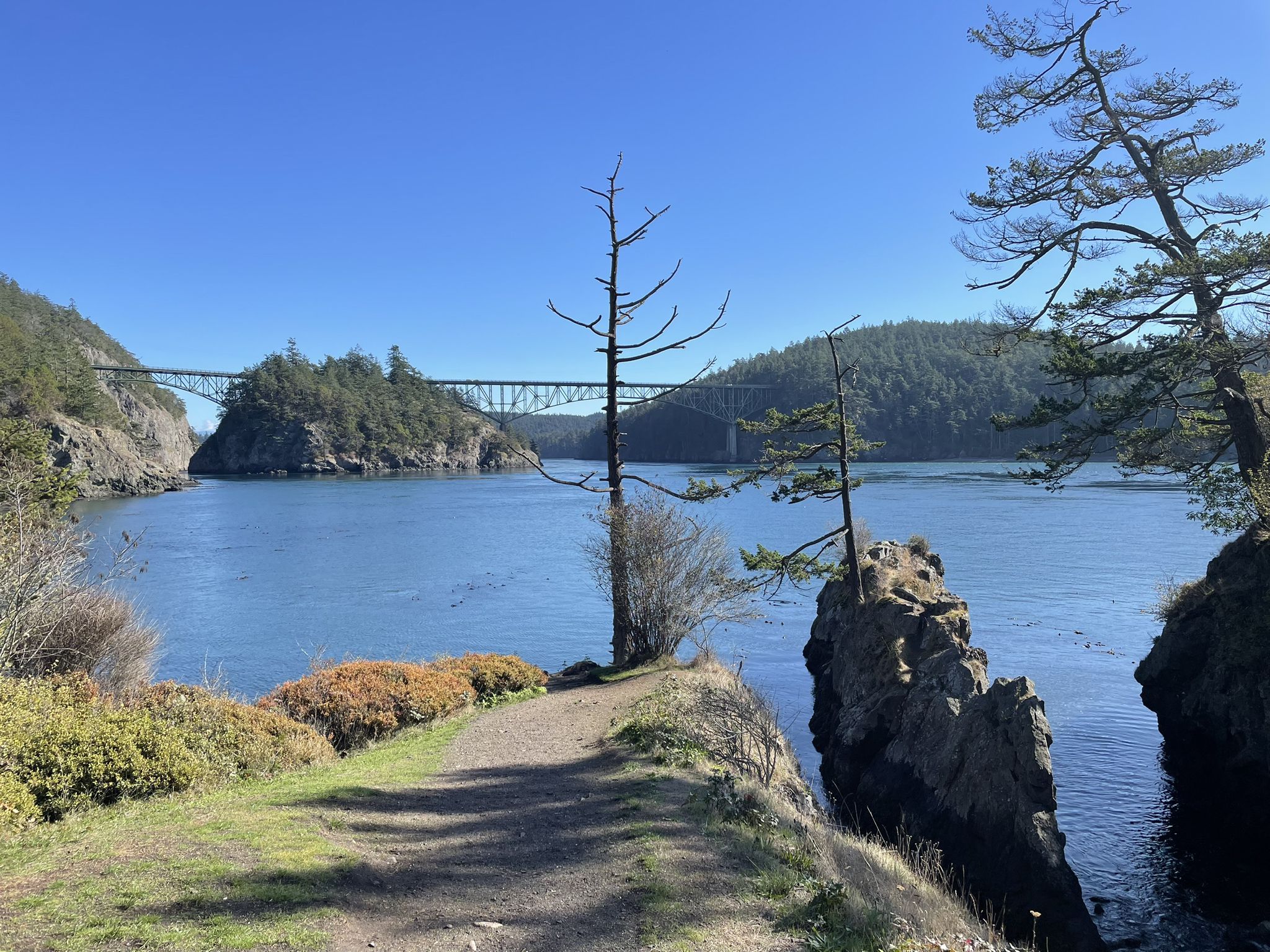 Sunny view of a waterway, bridge, and forested islands under blue sky. - Rosario Head and Lighthouse Point Loop