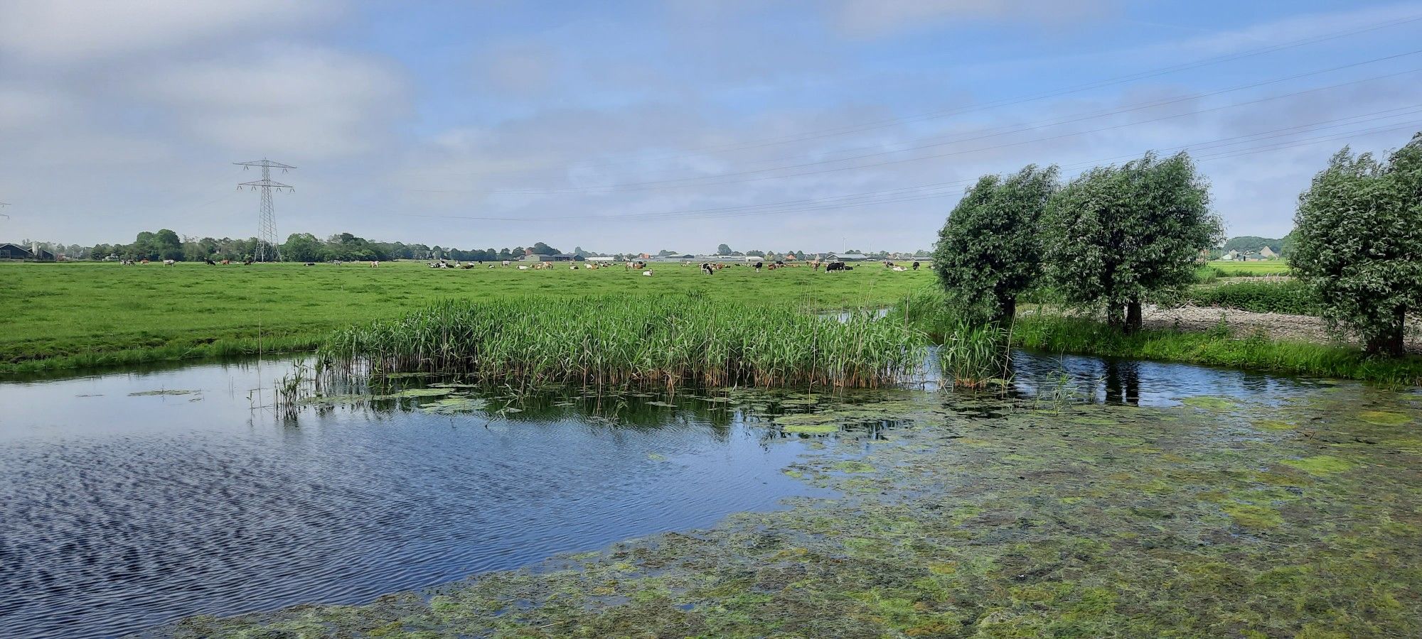 molendijk