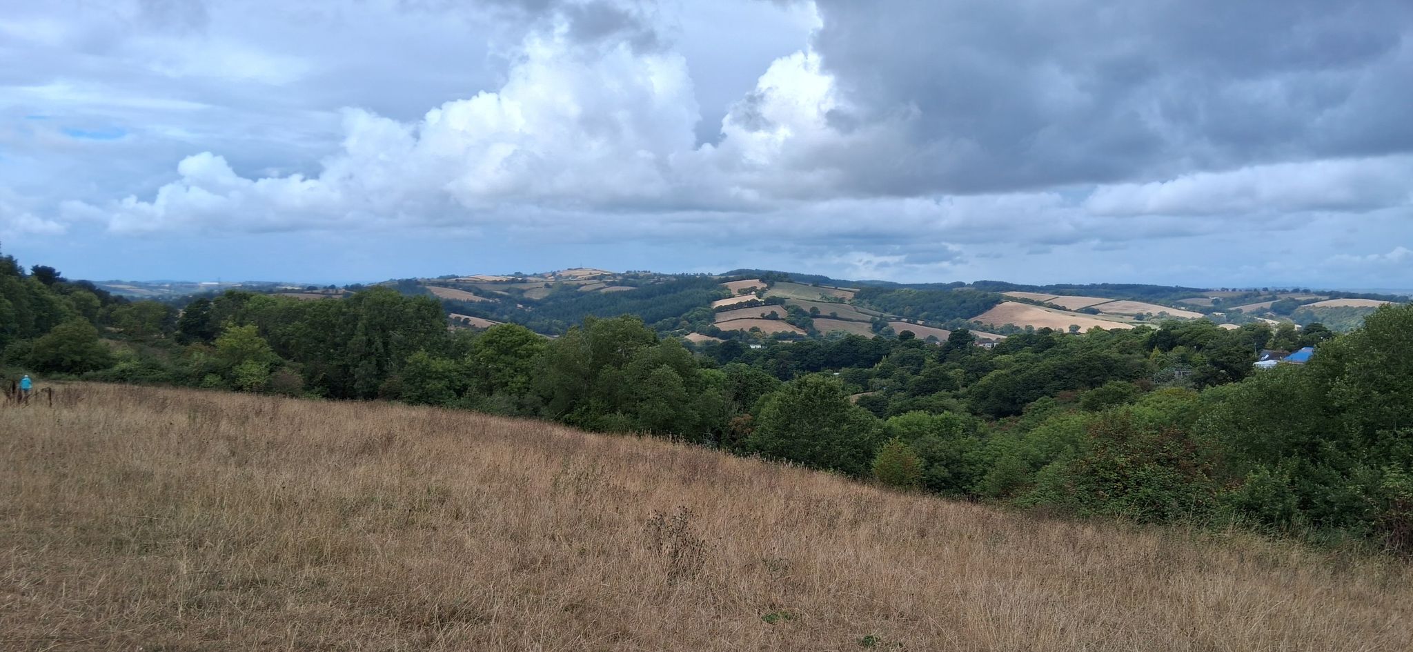 Bench with a view