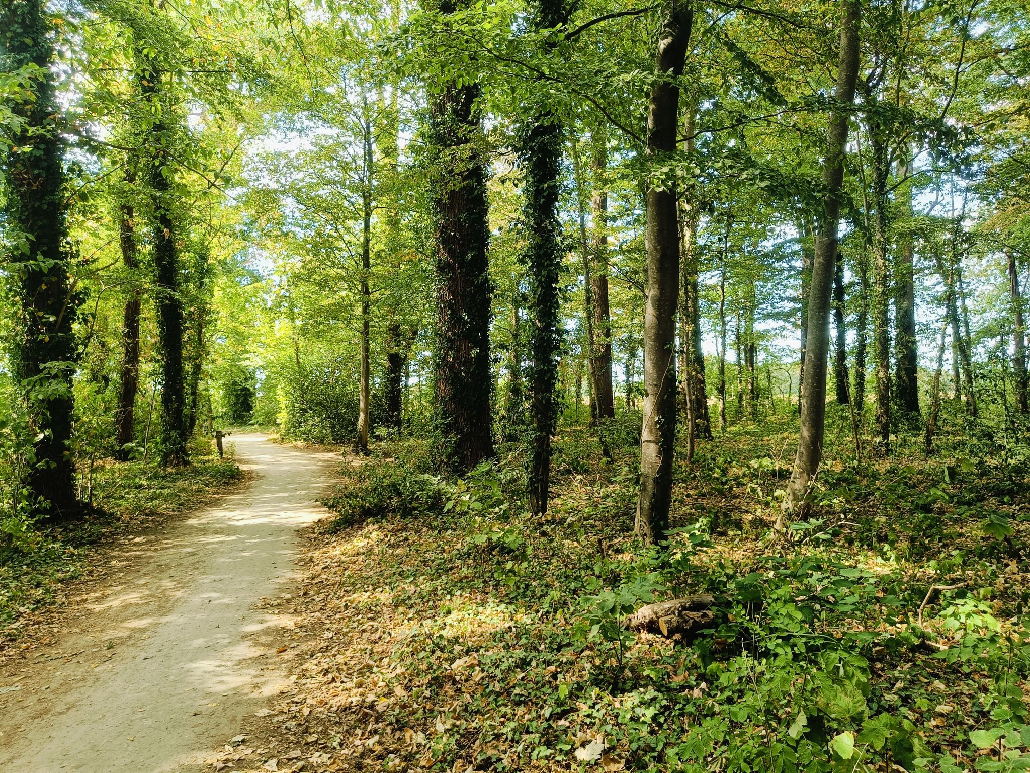 Park Ter Loo Zedelgem 