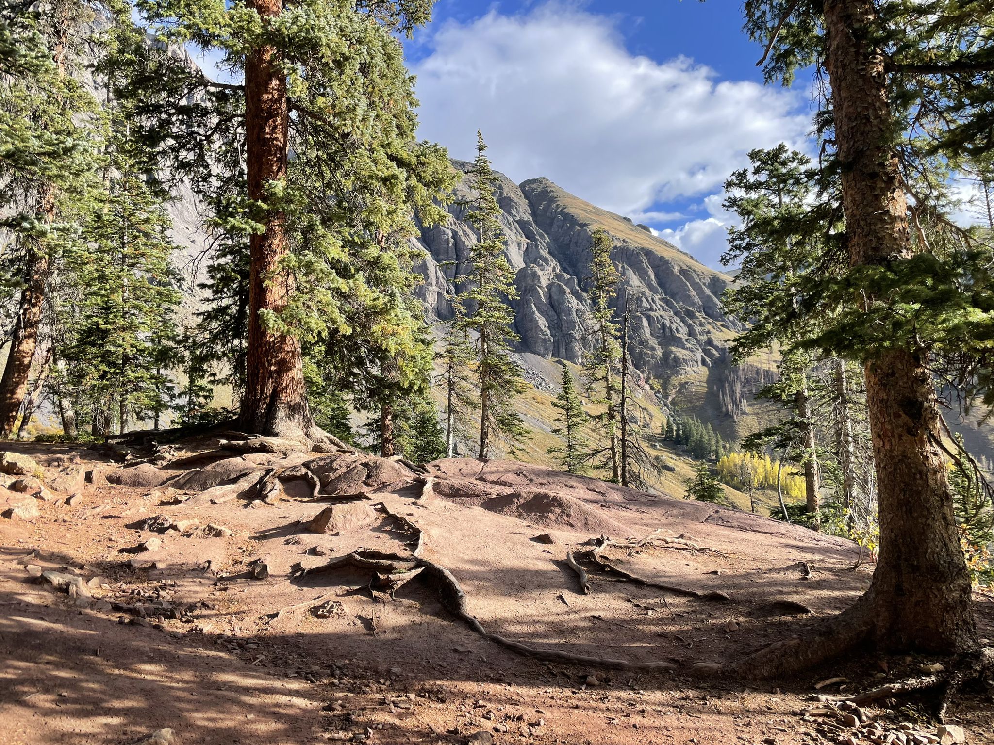 Tree roots on a dirt path, with a steep, rocky mountain in background. - Ice Lake Trailhead – Clear Creek Waterfall loop from Ice Lakes Trailhead Parking