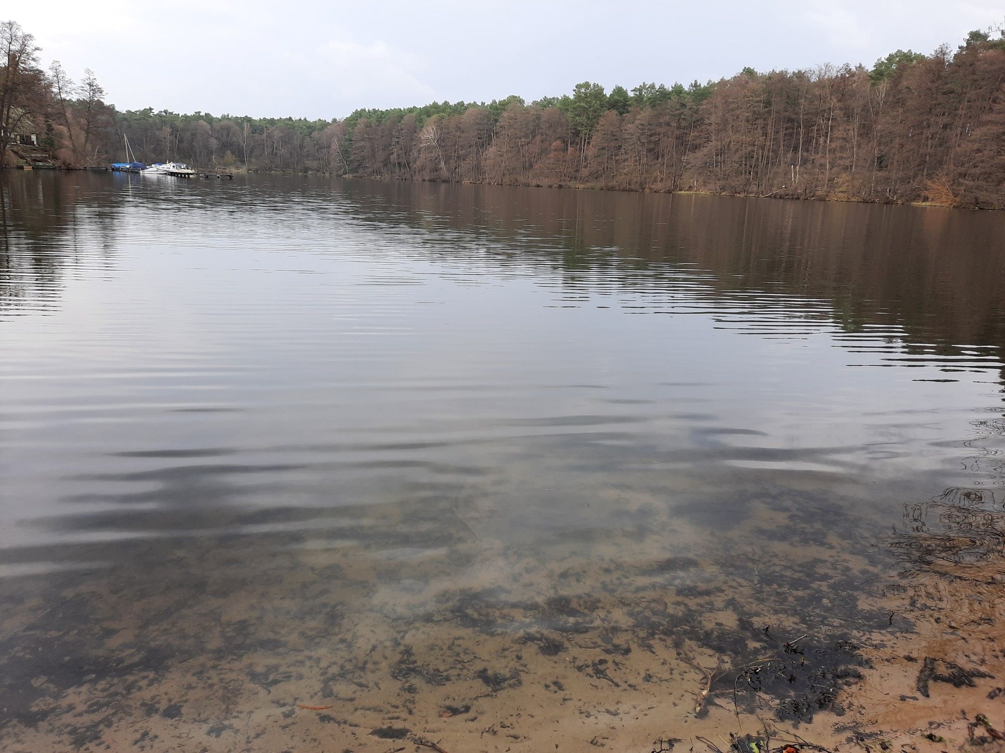 Kiessee