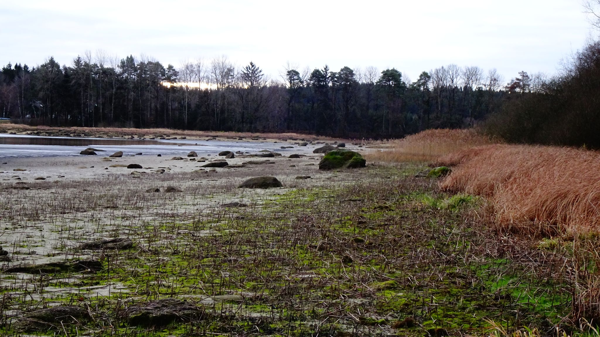 im Winkelauer-Teich
