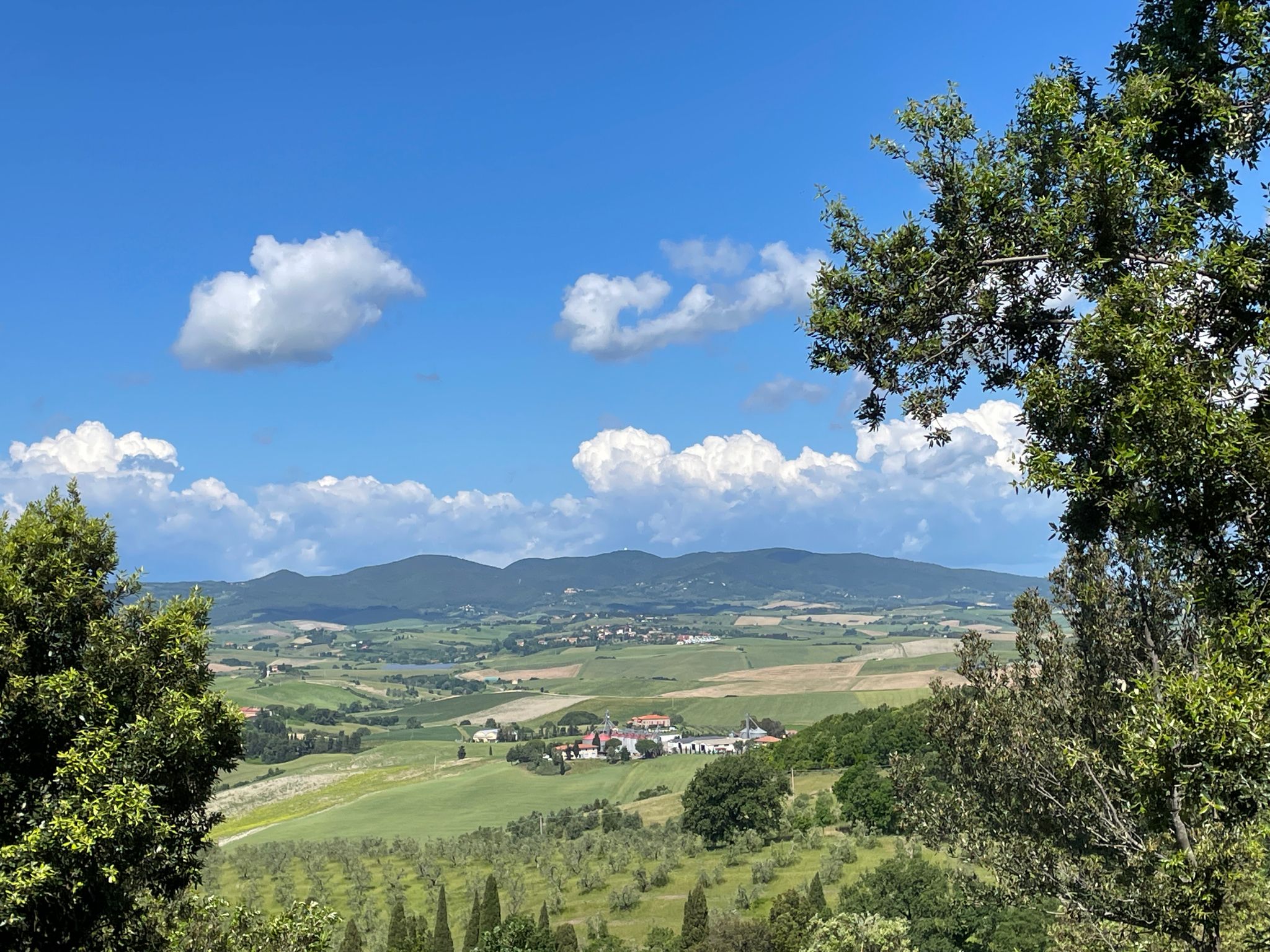 Blick über die pisanischen Hügel Richtung Livorno