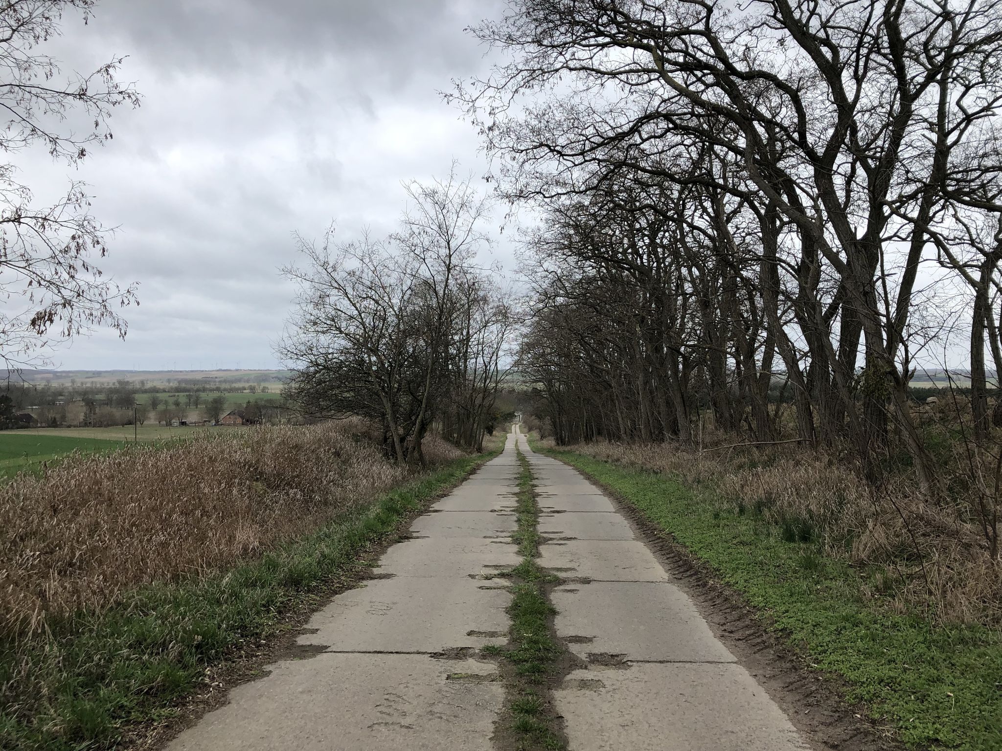 Wartin - Ausbau Eschenweg