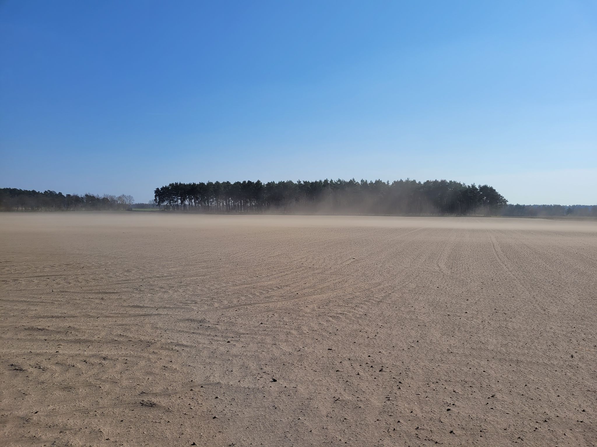 Sandokan ??? Sand-Orkan ??? Gleich kommen 🐫🐫🐪 ...