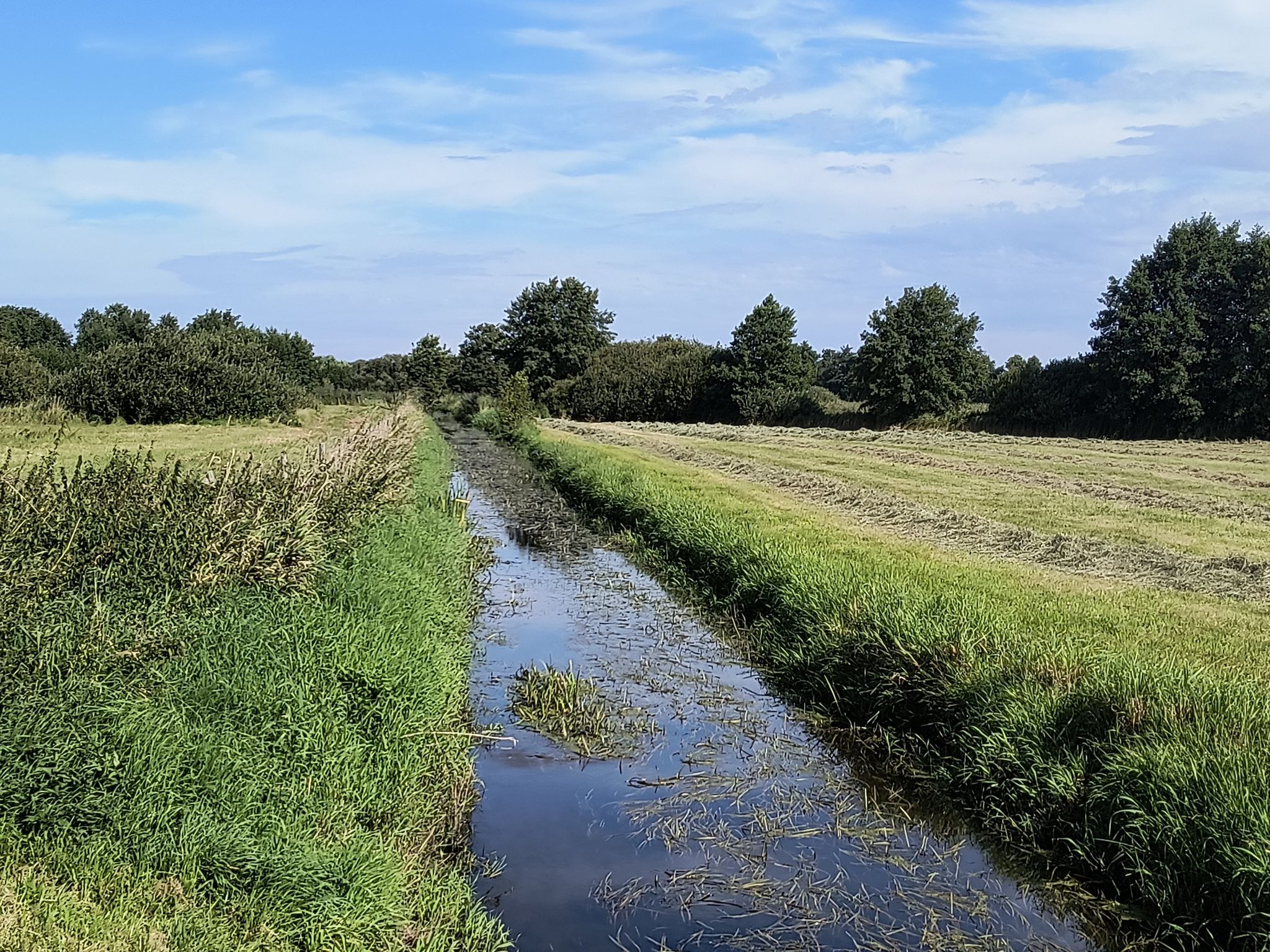 Brücke über die Nettelau