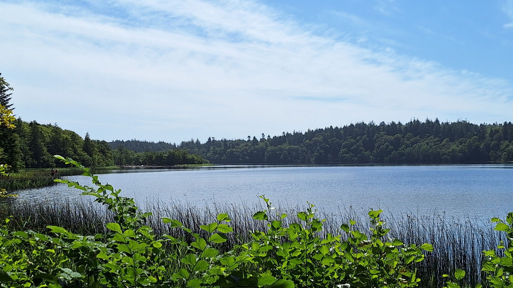Amind Sö