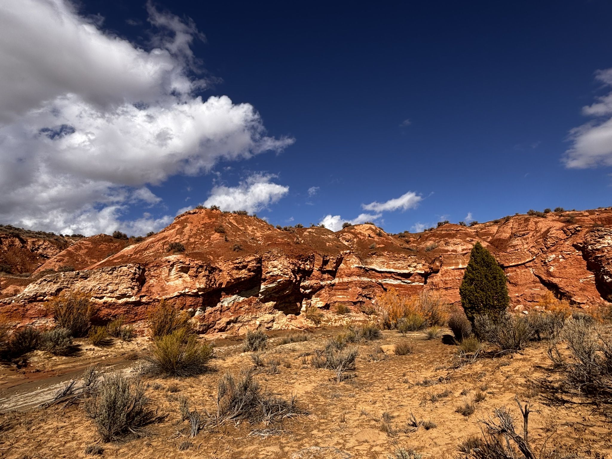 Desert landscape with red rock hills, scattered bushes, under a dramatic cloudy sky. - Zebra Slot Trail loop from Zebra/Tunnel Slot Trailhead