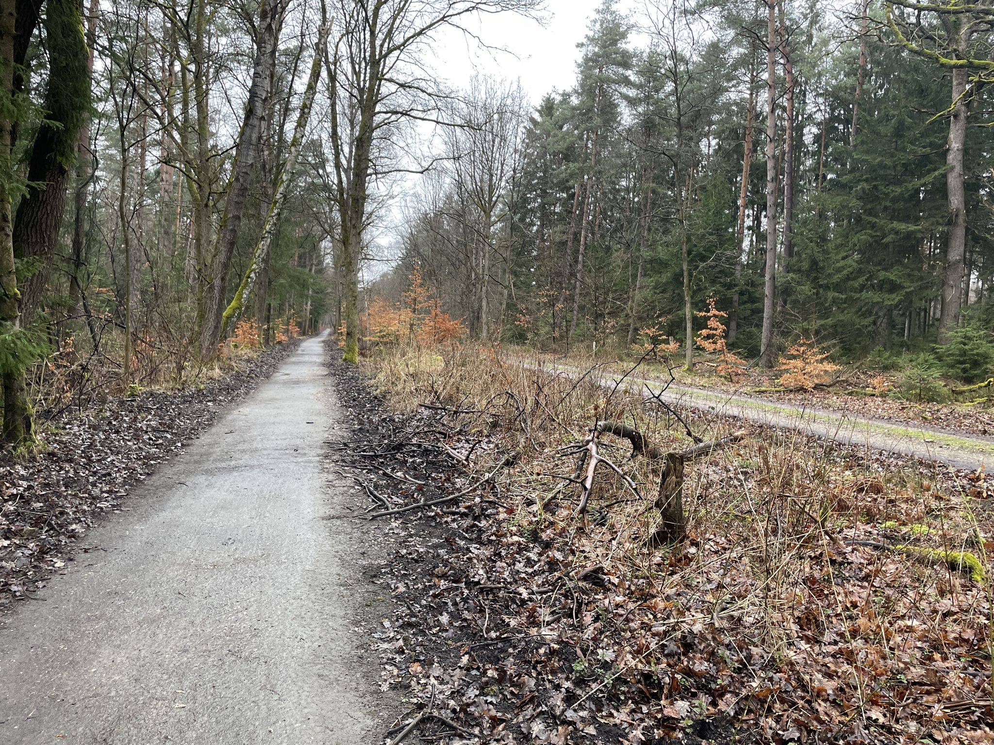 Der kleine Weg ist besser befahrbar.