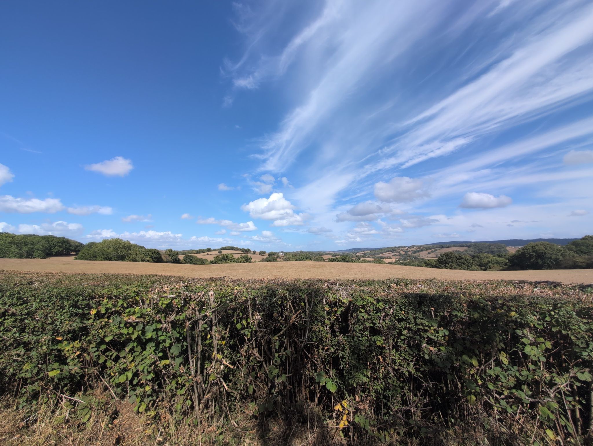 View opposite resovoir