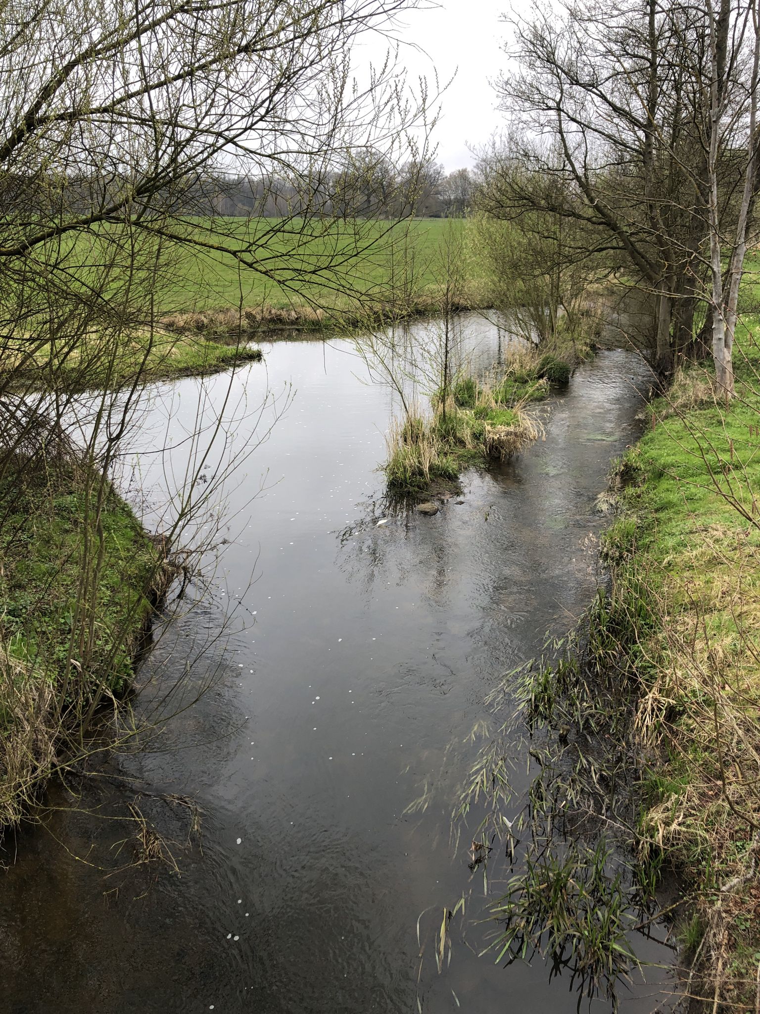 Die Steinau in Klein Pampau