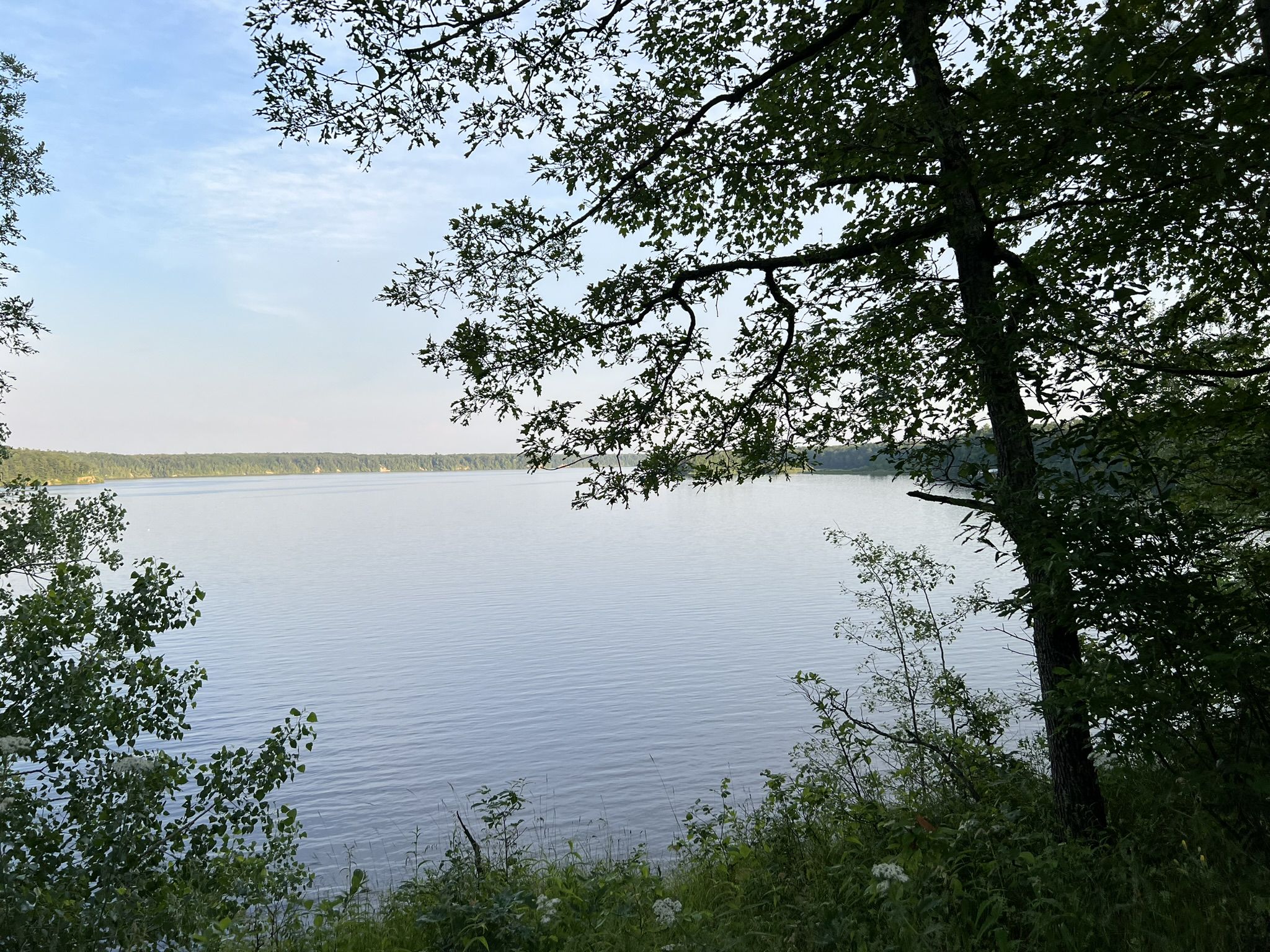 Wide lake view through trees on a bright day, distant shoreline visible. - Hardy Dam Pond loop from Hardy Dam