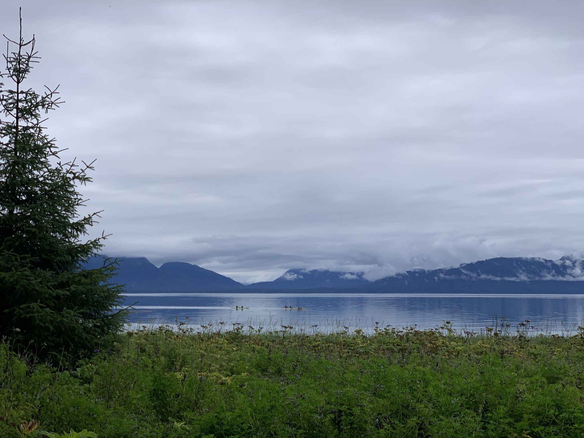 A large body of water with distant mountains under a cloudy sky. - Point Gustavus Trail