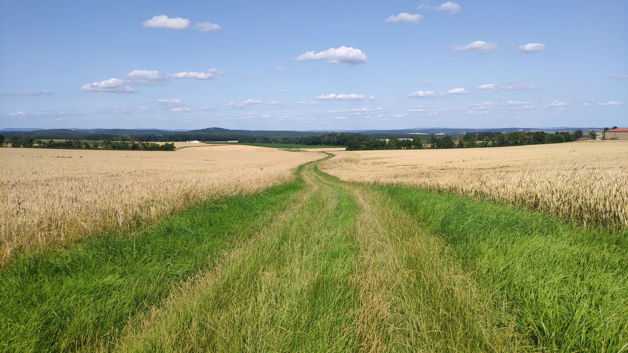 Durch die Wiesen mit Blick auf Schloß Hohenstein
