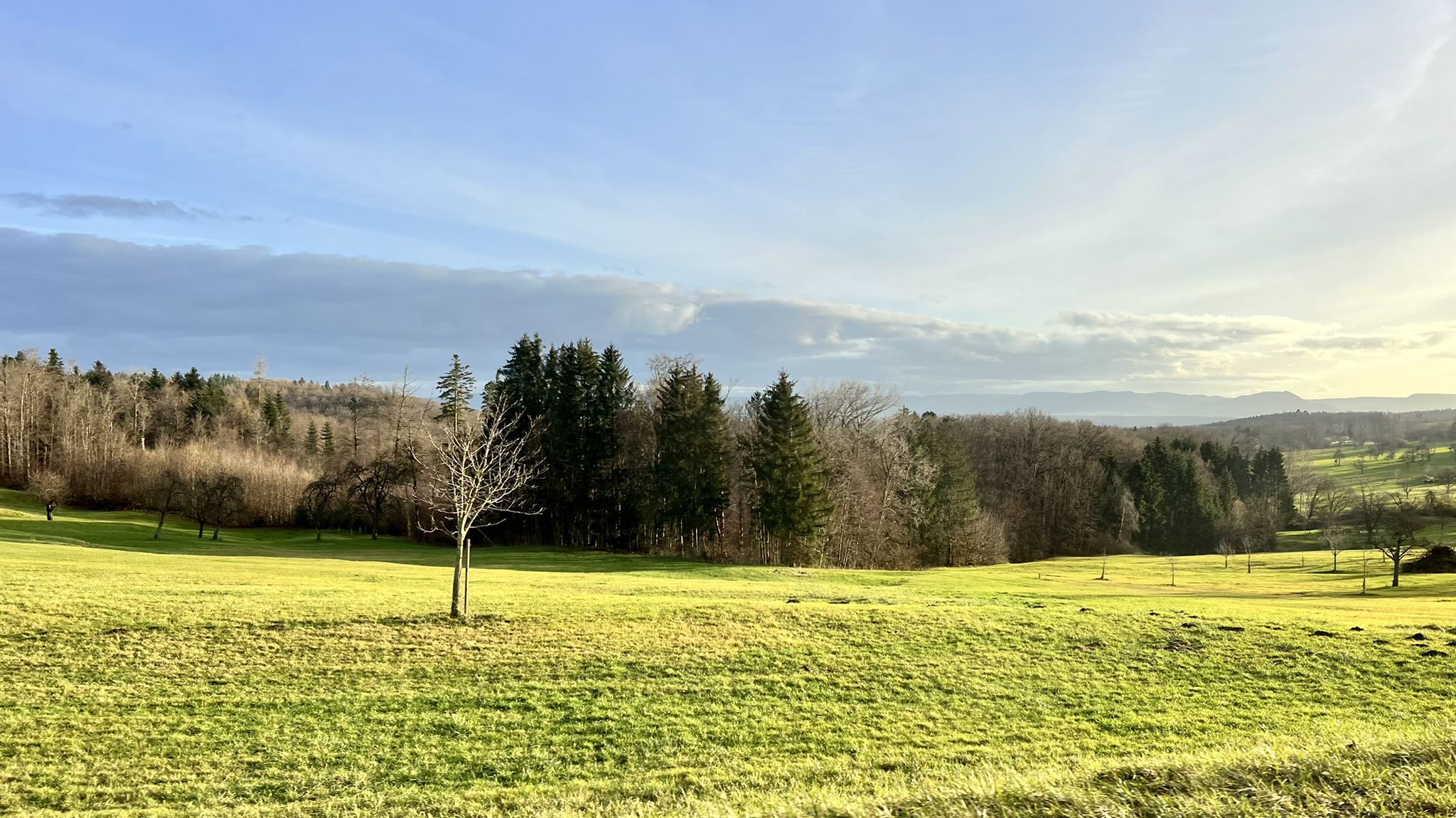 Fotos aus dem Bus 🚌 fotografiert