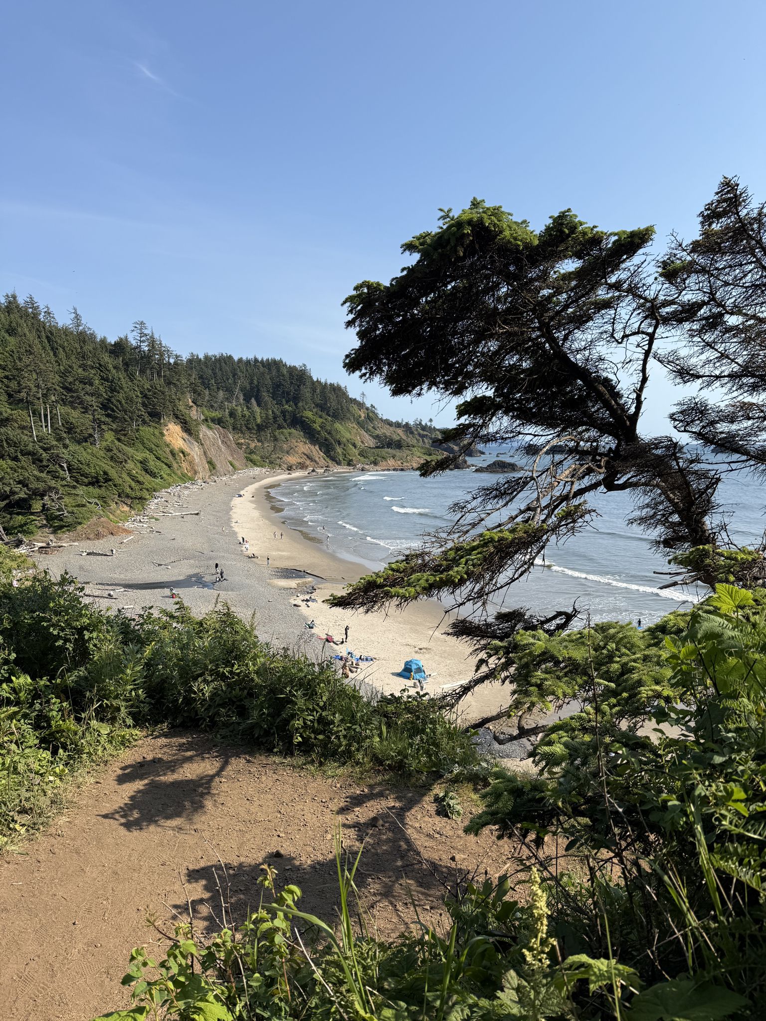 Sunny beach with people, a blue tent, and forested cliffs. - Clatsop Loop Trail