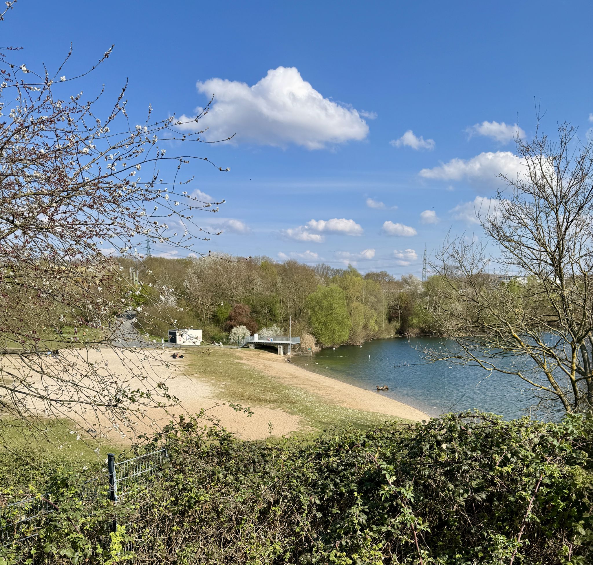 Rotter See