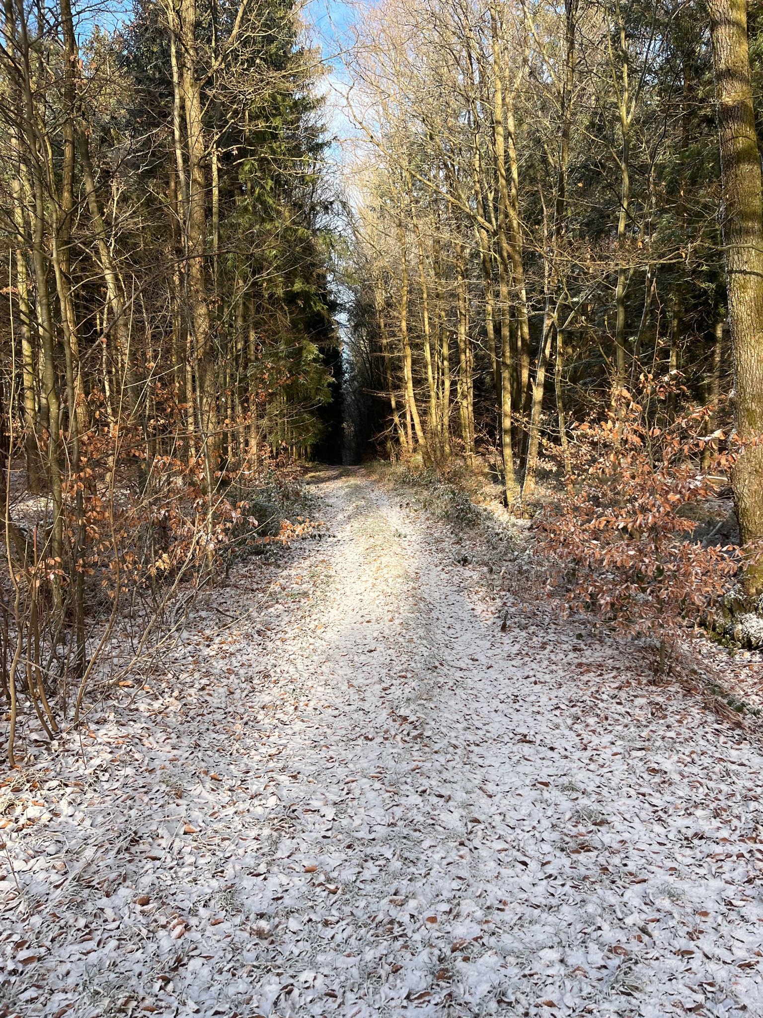 Start ins Birklerbach Tal
