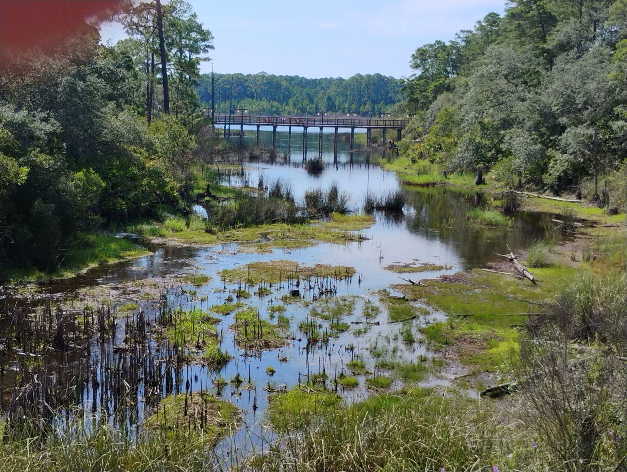 A wetland with a wooden bridge in the distance under a bright sky. - Seaside, Florida – Grayton Beach loop from Jolee Island
