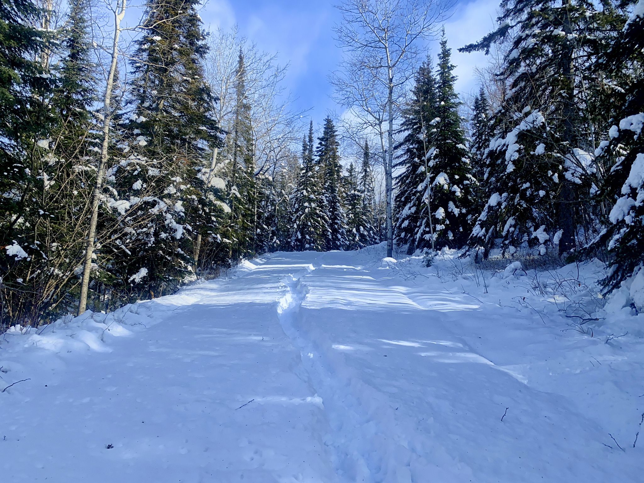 Snowy path through a winter forest under a bright blue sky, with ski tracks. - Palisade Head from Silver Bay