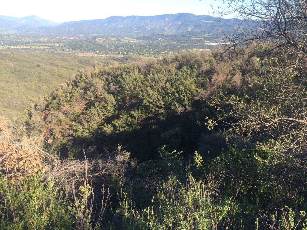 View into the creek