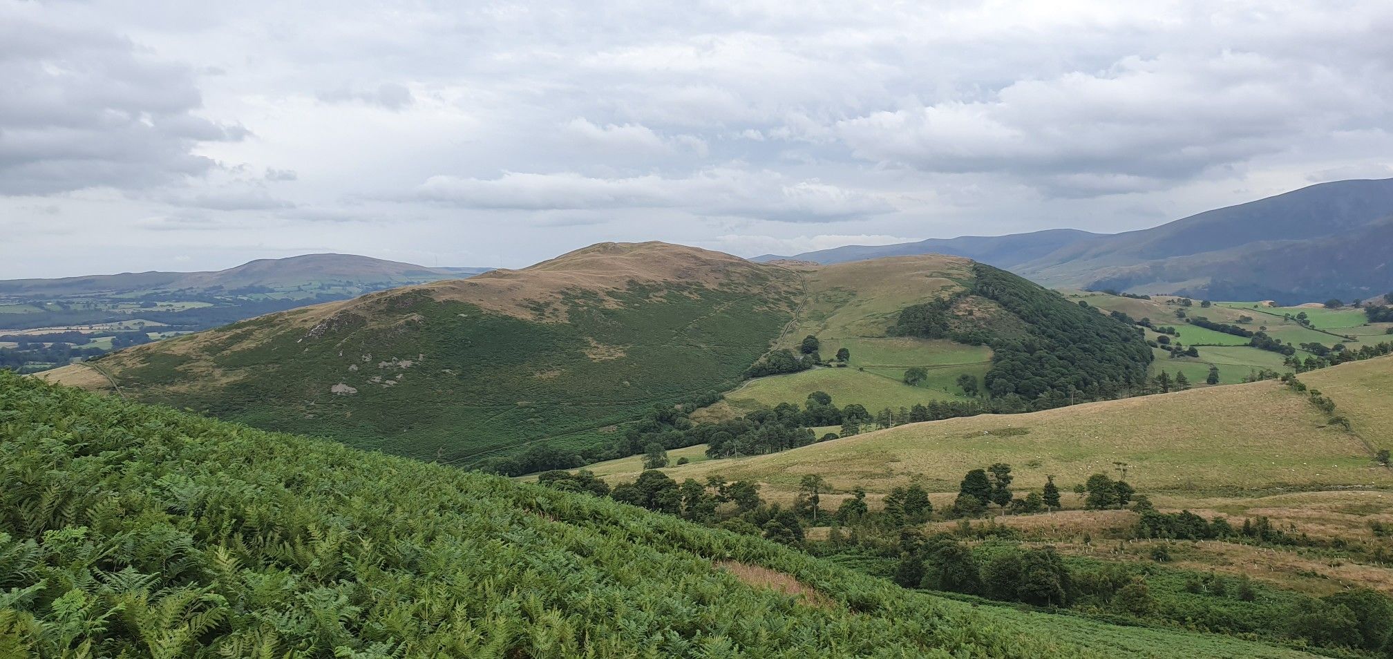 sale fell 