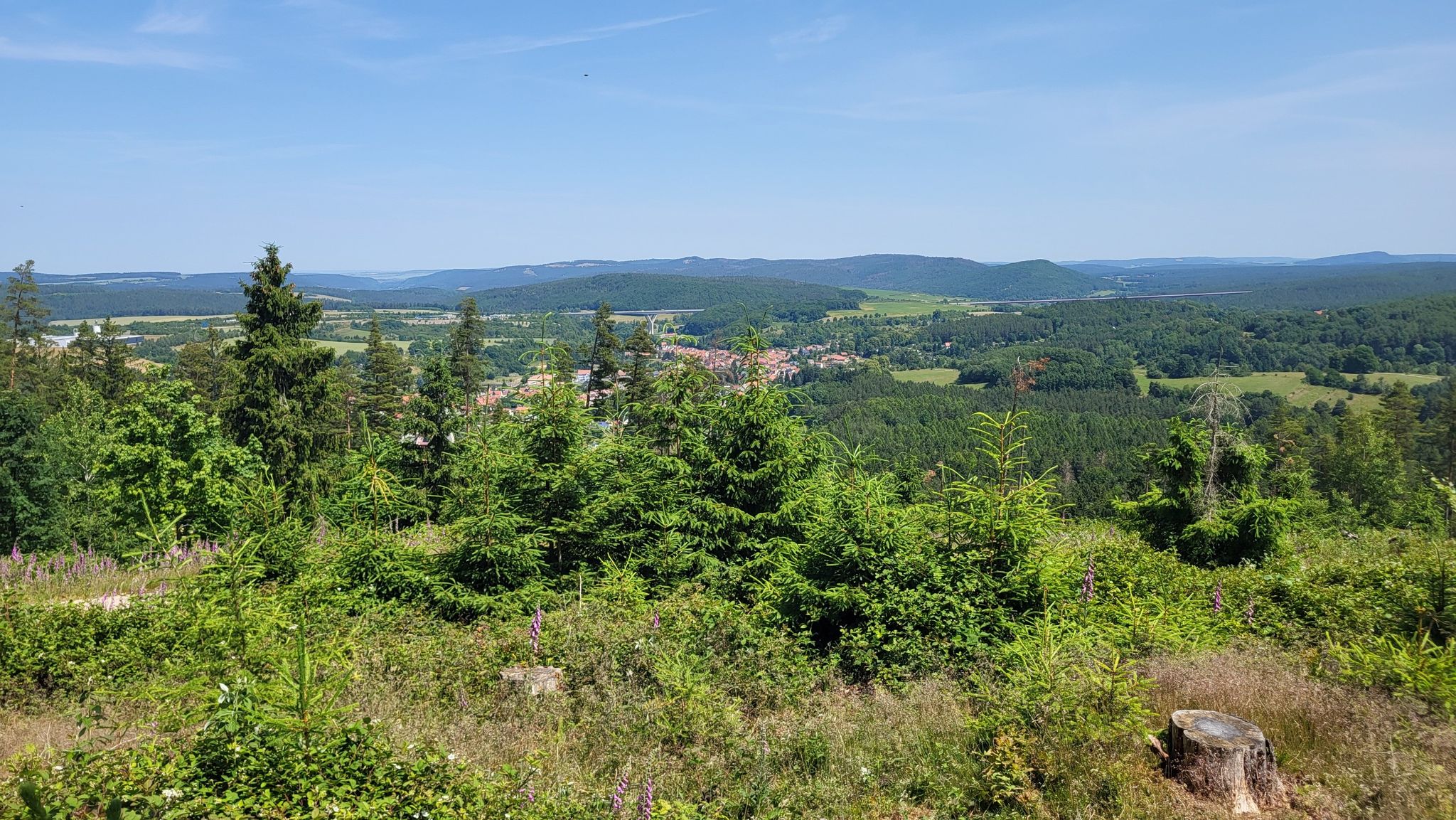 Blick von der Kiefernleite ins Tal der Zahmen Gera