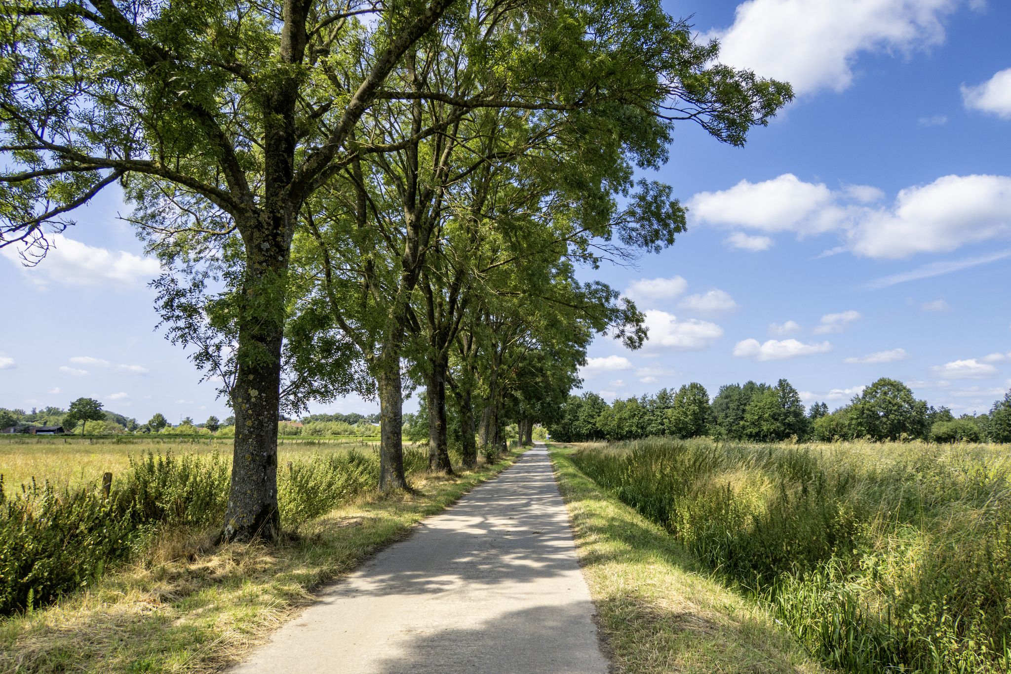 naar de Bovenschelde