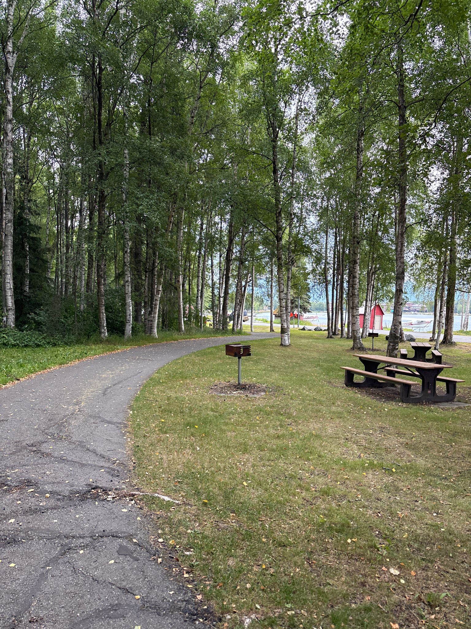 A paved path winds through a green forest with picnic tables. - Lake Hood and Lake Spenard loop