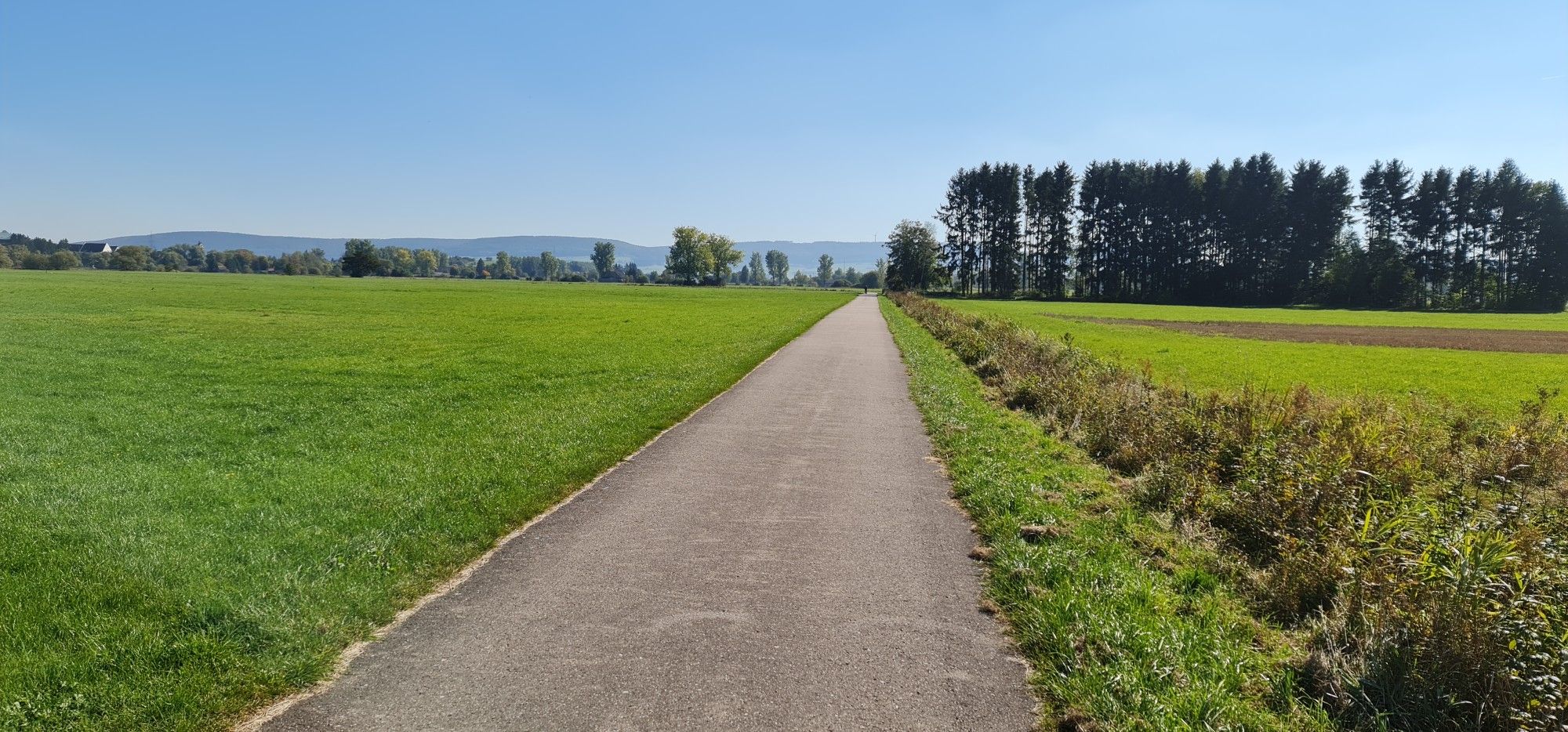 Richtung Pfohren Donauradweg