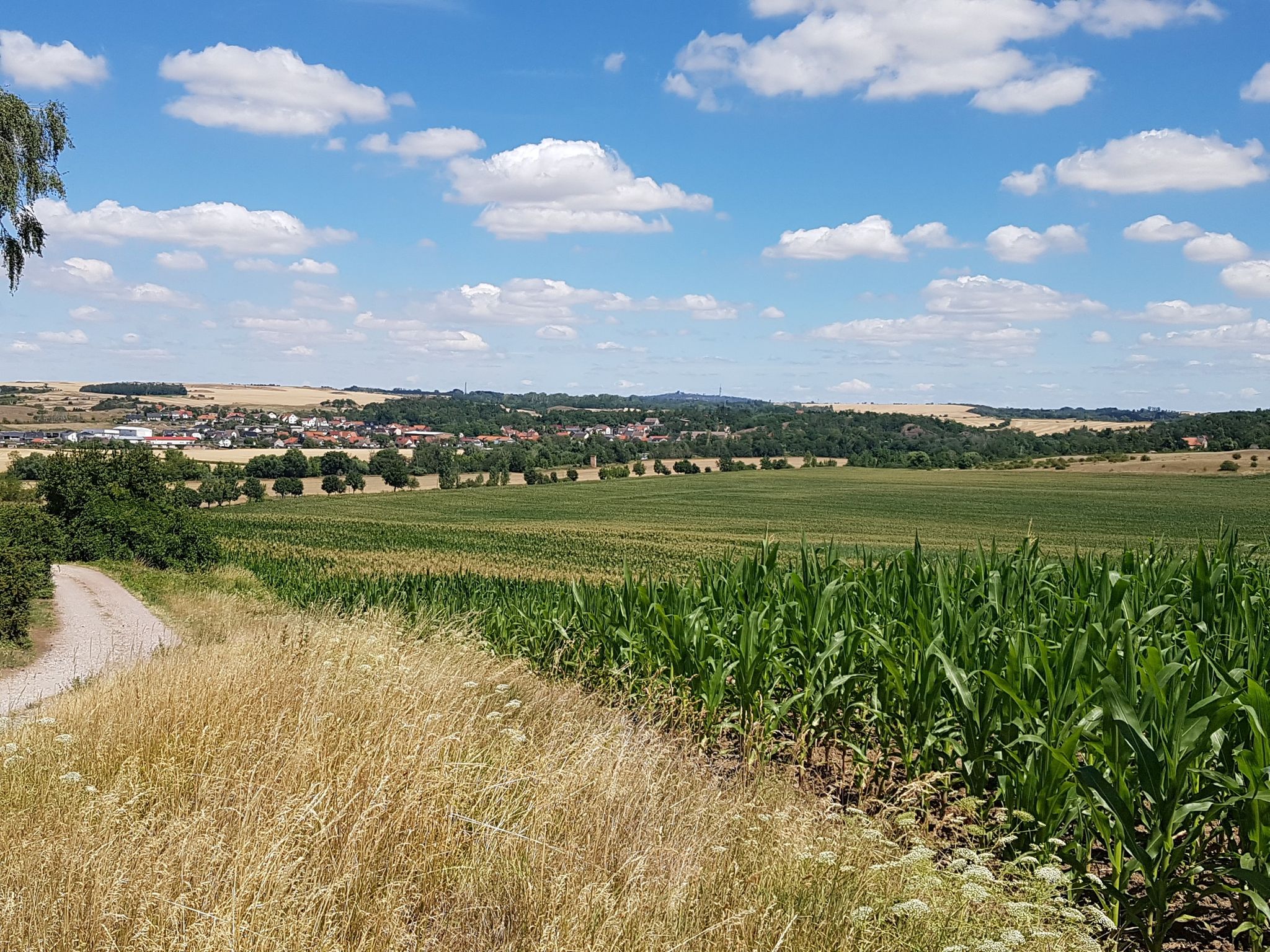 Blick ins Saaletal