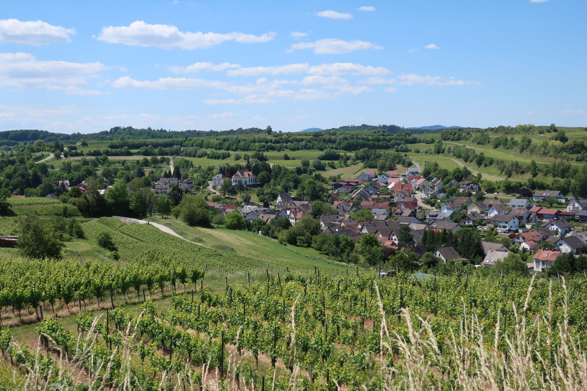 Blick zurück auf Nordweil