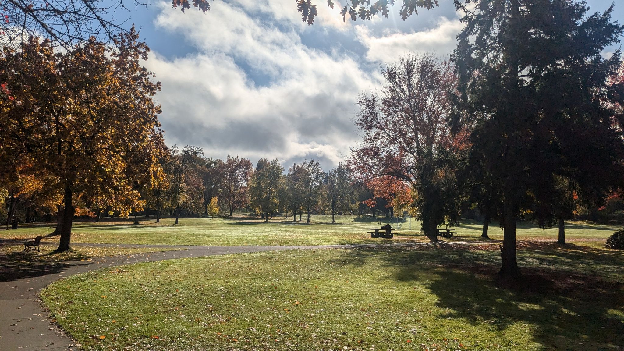 Sunny park with autumn trees, green grass, and picnic tables under cloudy sky. - Powerline & River Road loop