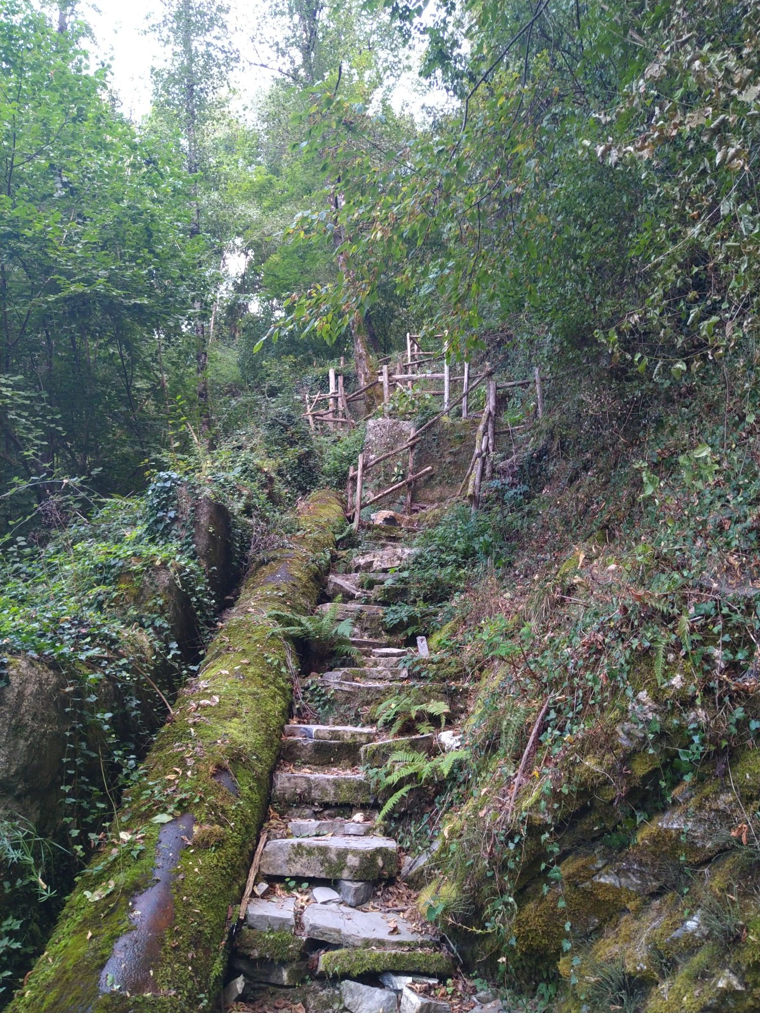scalinata