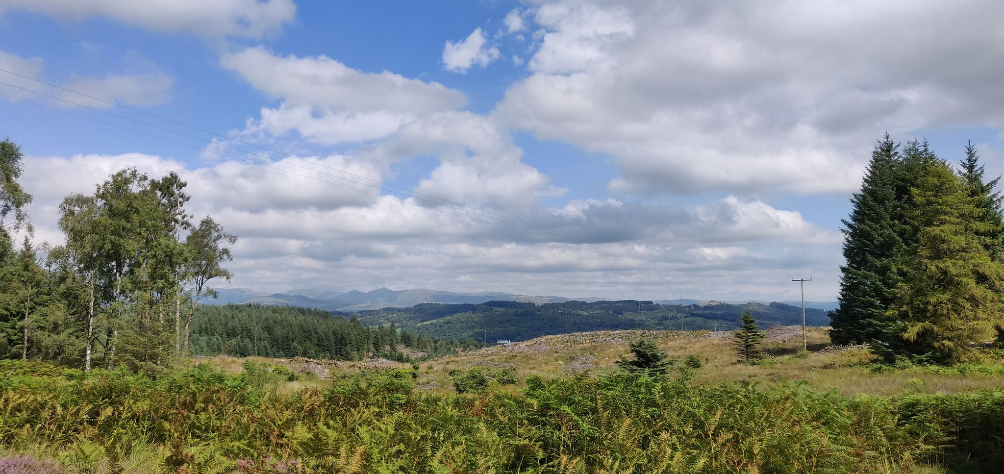 View from high point