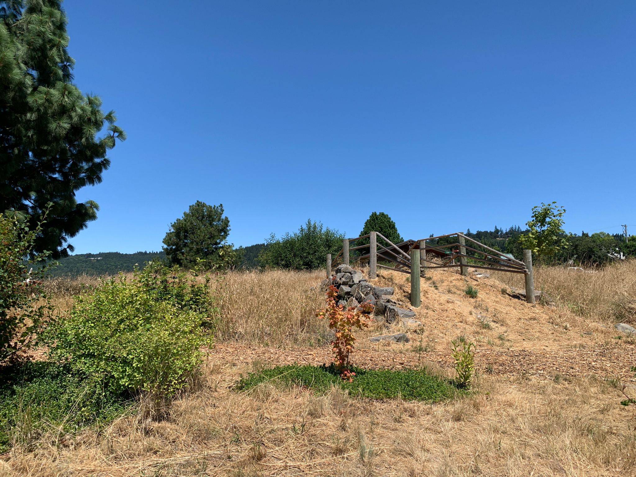 A wooden fence and rocks on a dry grassy hill under a clear sky. - Oregon State Capitol Park loop from Salem