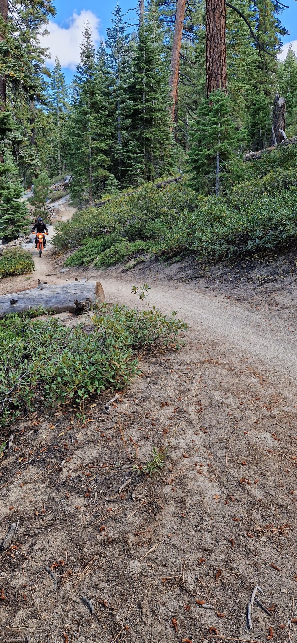 A person rides a dirt bike on a winding forest trail under a sunny sky. - Panoramic view loop from Castle Rock